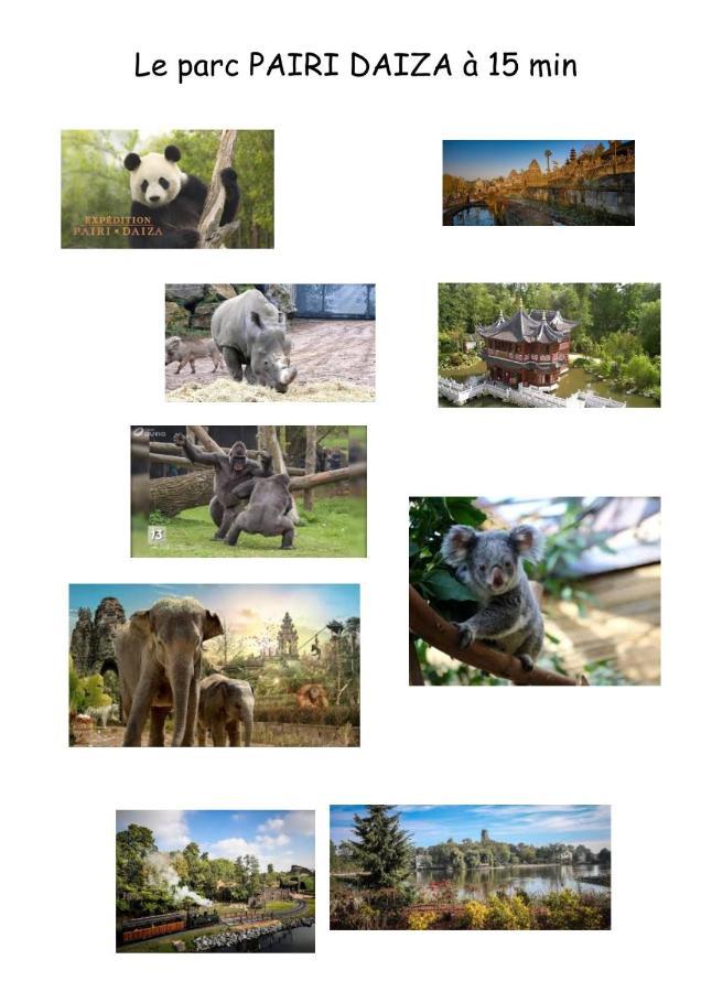Chambres D'Hote "L Ecureuil" Proche De Mons, Pairi Daiza, A Cote De Spark'Oh Frameries Luaran gambar