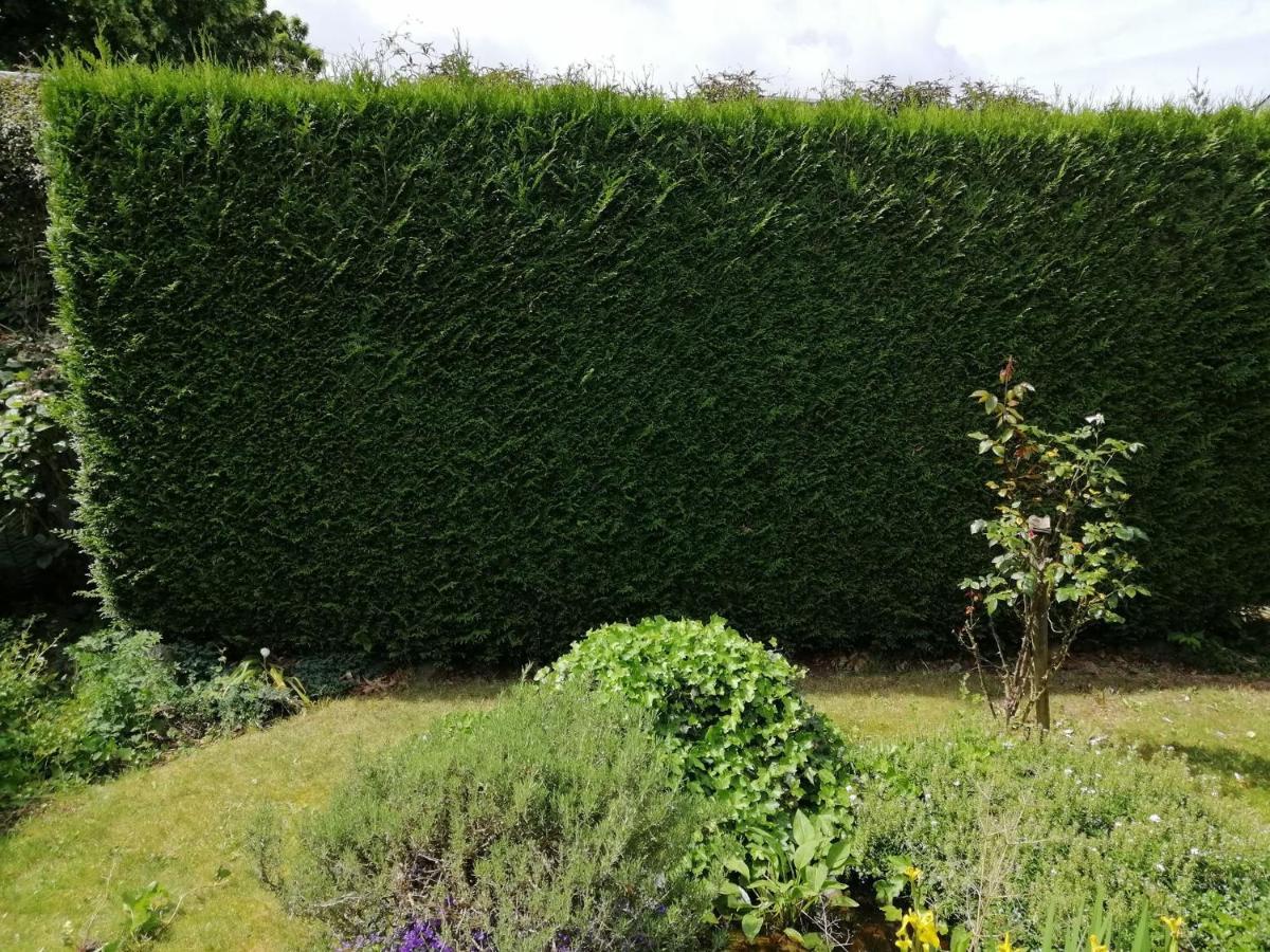 Chambres D'Hote "L Ecureuil" Proche De Mons, Pairi Daiza, A Cote De Spark'Oh Frameries Luaran gambar